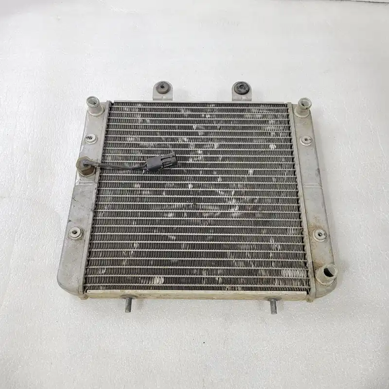 VGT CARB RADIATOR ASSEMBLY, 324 Nouvelle Collection